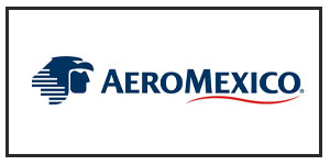 airline-logo