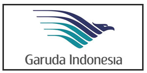 airline-logo